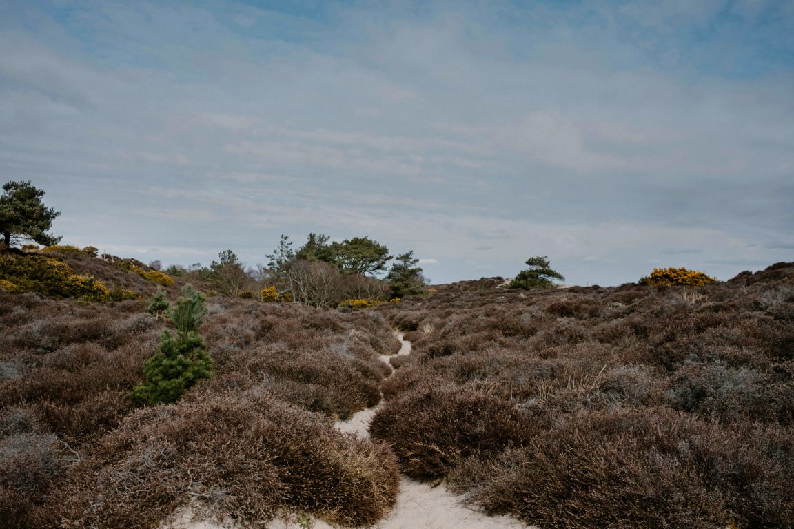 annie-spratt-m8GxPWce-ks-unsplash (Medium)